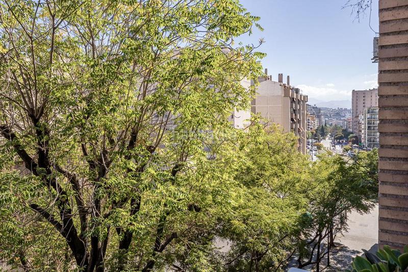 Foto ca22d925-3a5f-4b05-9f5f-47b3430456c9. Appartement dans Pajaritos Granada