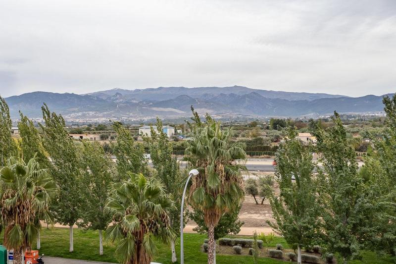 Foto 63658298-8286-4fbe-aa7f-6e35a0a56706. Appartamento in Carretera de Granada-La Alcazaba Alhendín