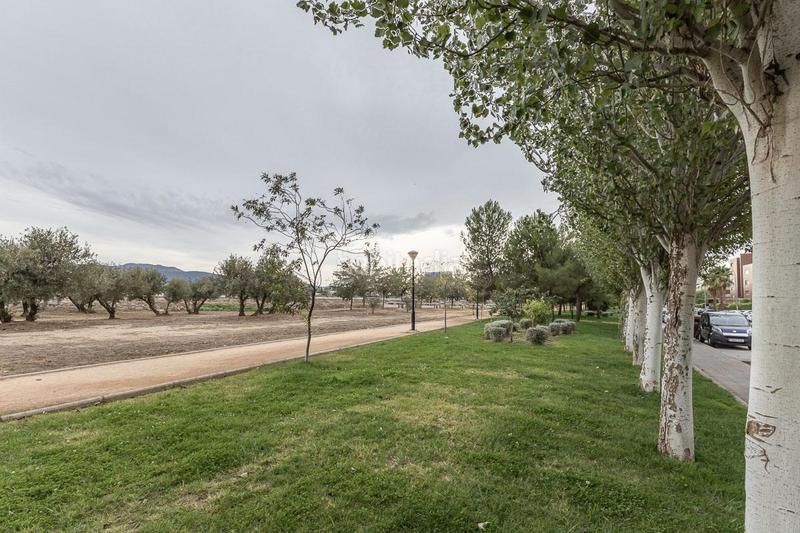 Foto 33e25297-3e7f-499f-992e-1b3e7af54f18. Pis a Carretera de Granada-La Alcazaba Alhendín