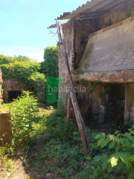 Foto c21a80c5-dcaa-4c01-961c-9d986dfdd0d8. Casa en Coles