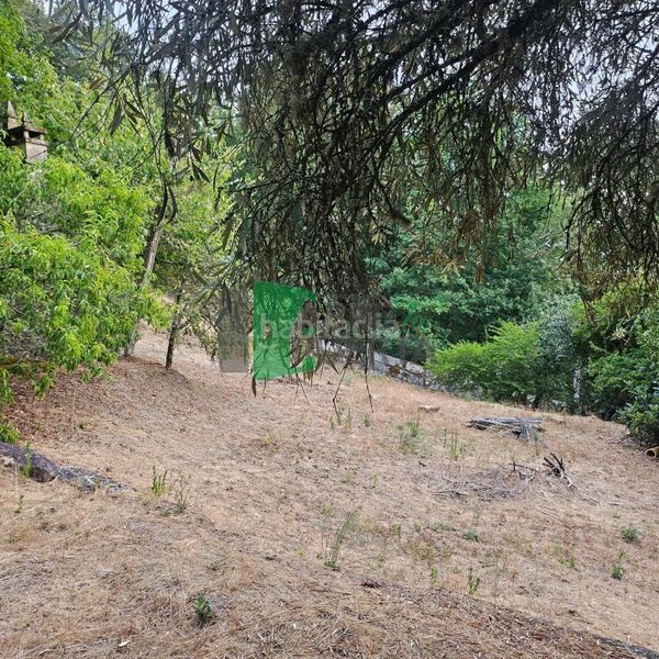 Foto 79a32b12-5930-42fc-853d-a407e7fc053b. Finca rústica a Peroxa (A)