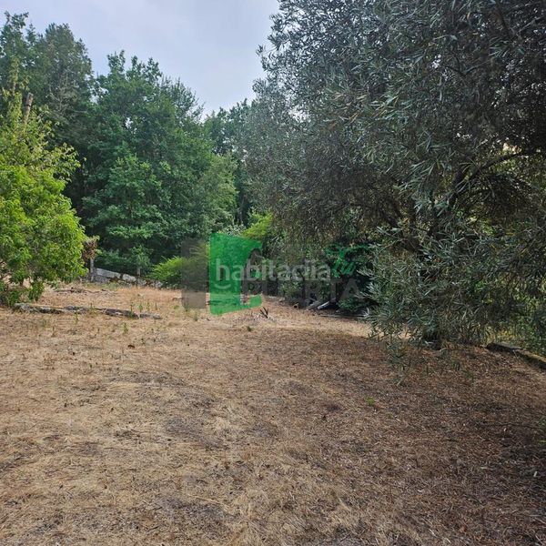 Foto 860e48a9-c489-4e5b-b292-f9d93694fe91. Finca rústica a Peroxa (A)