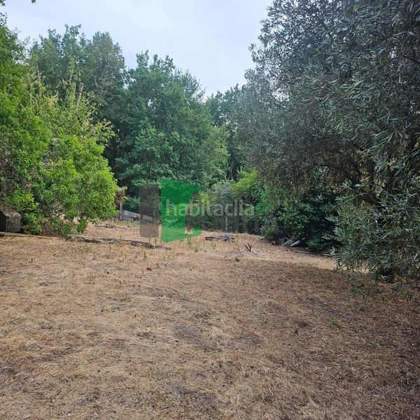 Foto 88677598-846d-48a8-b5dd-a0991caa3594. Finca rústica a Peroxa (A)