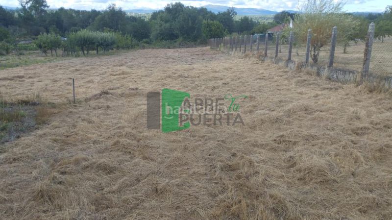 Foto efcb1a11-2cde-4782-82dc-c6d6c5a18bf5. Casa amb aparcament a Amoeiro