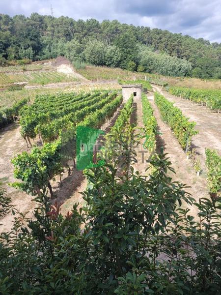 Foto 0d368423-17d6-4fba-9172-8886a3e3cf42. Casale con riscaldamento in Beade