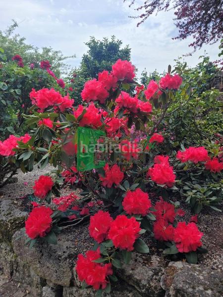 Foto 38dc26c4-5d1c-44f3-955b-1f6796676b9d. Casale con riscaldamento in Beade