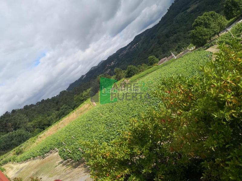 Foto 64967cae-a6dc-4db9-a520-ce37d25fc282. Casale con riscaldamento in Beade