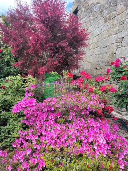 Foto 808c1df1-3a74-4413-bd3d-60d7f48aba09. Casale con riscaldamento in Beade