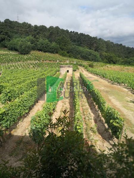 Foto 84adf3ea-a2a0-4ceb-b2c7-c1e8e5c74b36. Casale con riscaldamento in Beade