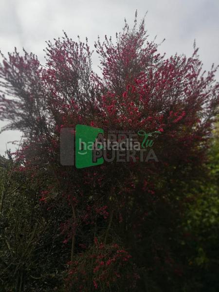 Foto 8fb22bf6-0c9c-4811-b590-39bc6b32f2ed. Casale con riscaldamento in Beade