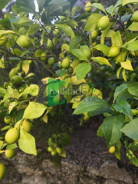 Foto 9dfd595d-1daa-4d2a-aea1-f06697062bff. Casale con riscaldamento in Beade