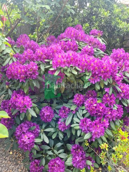 Foto a4374825-7a20-4654-9d8e-b59bd7b5dc38. Casale con riscaldamento in Beade