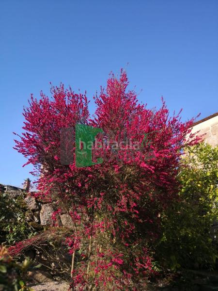 Foto ceee954b-918a-49c0-b949-a7bdfcd46bbe. Casale con riscaldamento in Beade