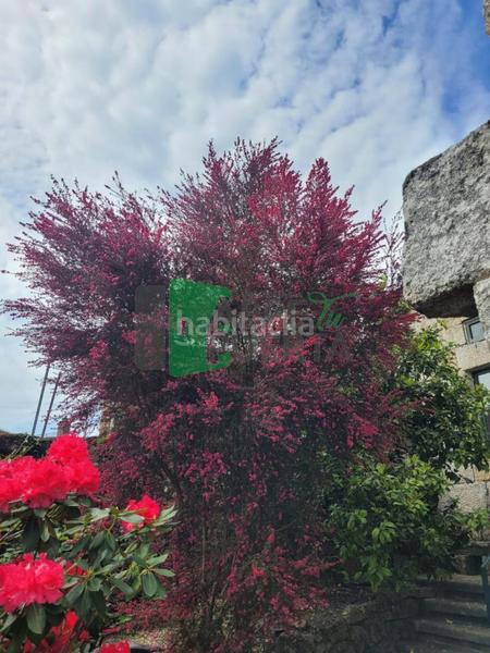 Foto e21f56e4-3b83-40d3-9ec5-201e7d56c071. Casale con riscaldamento in Beade