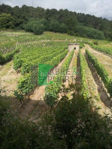 Foto e9947ec5-9fb8-424d-a1c2-8ebca6ccc8cc. Casale con riscaldamento in Beade