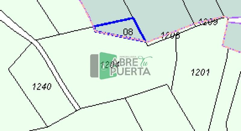 Foto 3d558928-d9c1-4e8e-9db4-e6325935c954. Finca rústica en Allariz