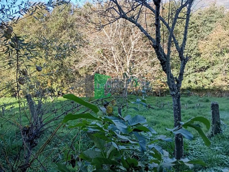 Foto d21d62db-f4dc-4a8b-bcc7-54fa5b677855. Casa amb aparcament a Lobeira