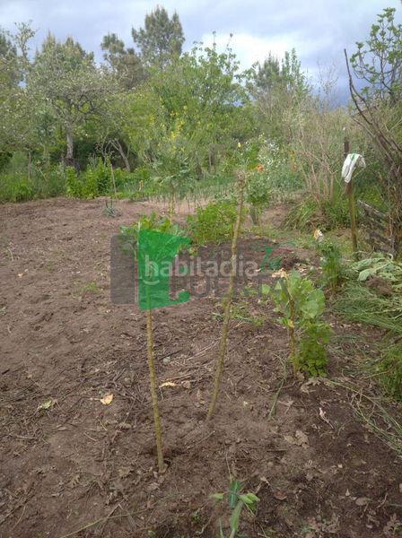 Foto 7a21e333-2bce-4c8f-b148-f24532d235b9. Bauernhof mit heizung parking in San Cibrao das Viñas
