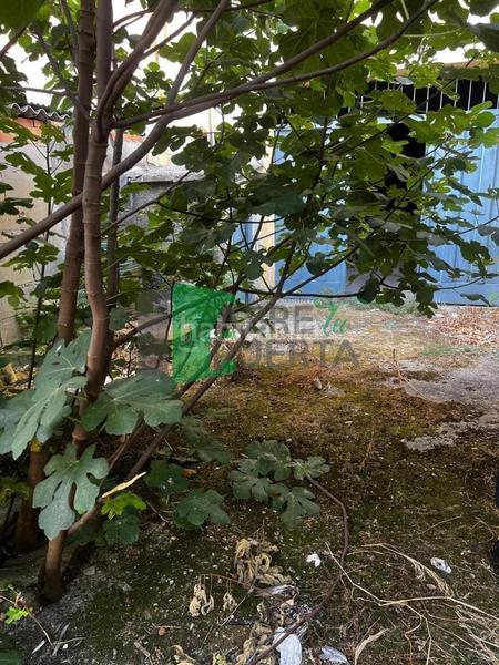 Foto f267ac23-8e43-482b-99bc-403b68343241. Local comercial en San Rosendo Ourense