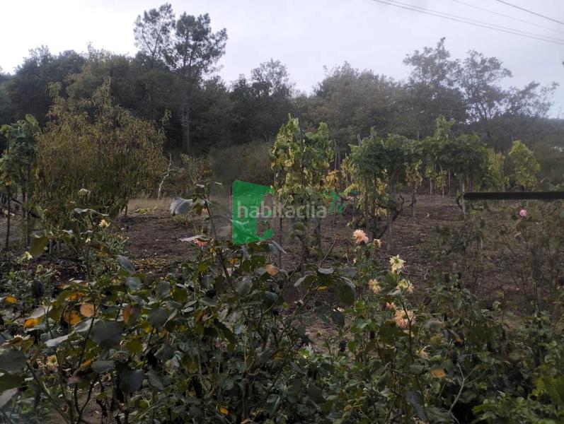 Foto 49ec3c48-f434-4457-884d-150a4e760dae. Casa amb aparcament a Punxín