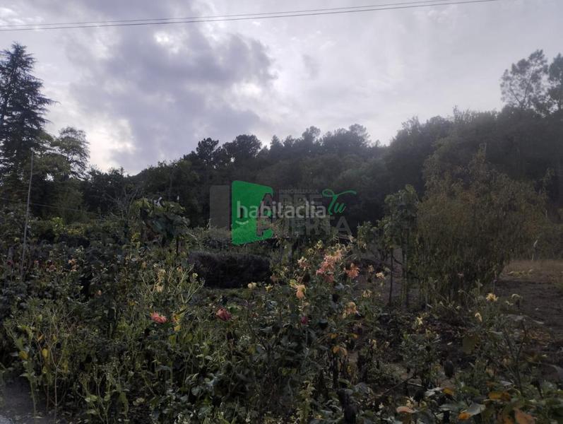 Foto caf2e24a-d01a-401e-8e2f-232d2caa5c0b. Casa amb aparcament a Punxín