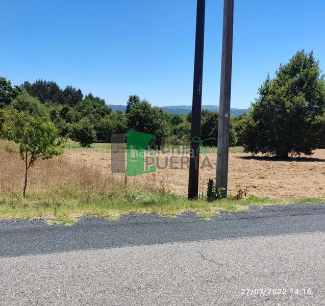 Foto d9a82384-7b58-44f9-8444-2da0d4545fac. Terrain résidentiel dans San Francisco Ourense