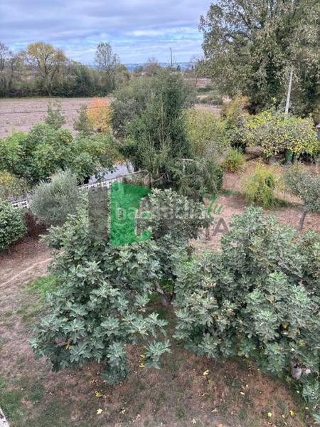 Foto e3bcaf5a-bf4f-4551-b310-b3a3fe76f172. Chalet en Monforte de Lemos