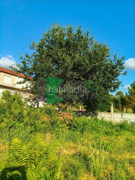 Foto 61ff4786-7635-4f35-af3c-adb6be6553c2. Masia a Polvorín Ourense