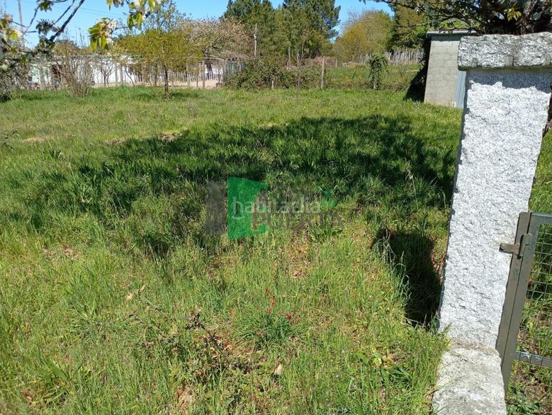 Foto 46e7bcc0-80f6-4ac9-a1a4-fe5c6c37e0f0. Finca rústica a Amoeiro