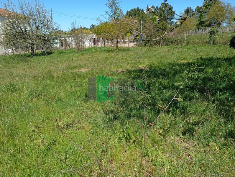 Foto 8cd4b9a6-5005-4e4d-961c-4455ffdc7c76. Finca rústica a Amoeiro