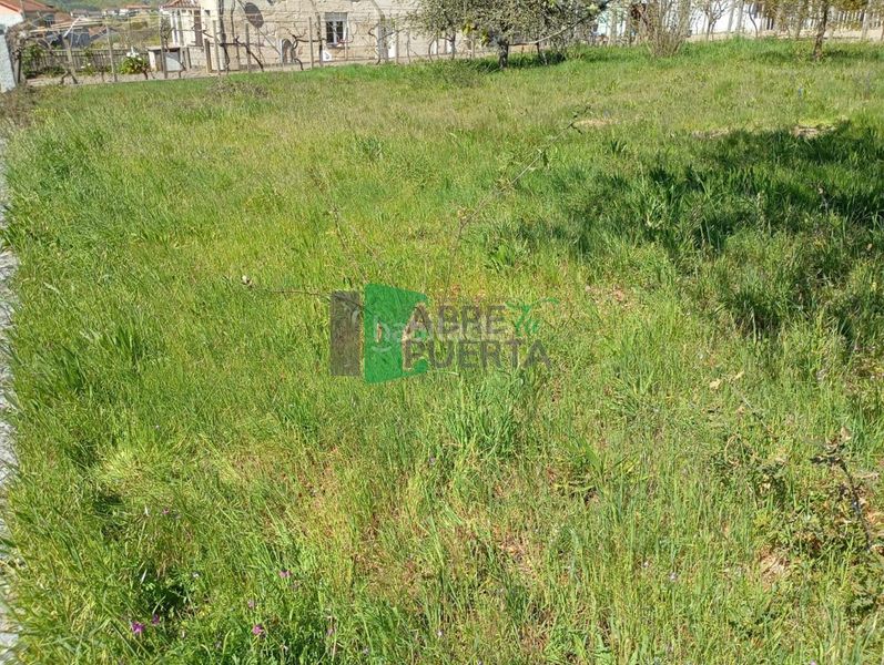 Foto a9c9e69b-1923-436f-ac90-21726e3ead60. Finca rústica a Amoeiro