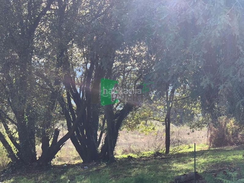 Foto 3e4e3b9a-6369-4877-a1f1-a3d8d4d08266. Finca rústica a Ventiun Ourense