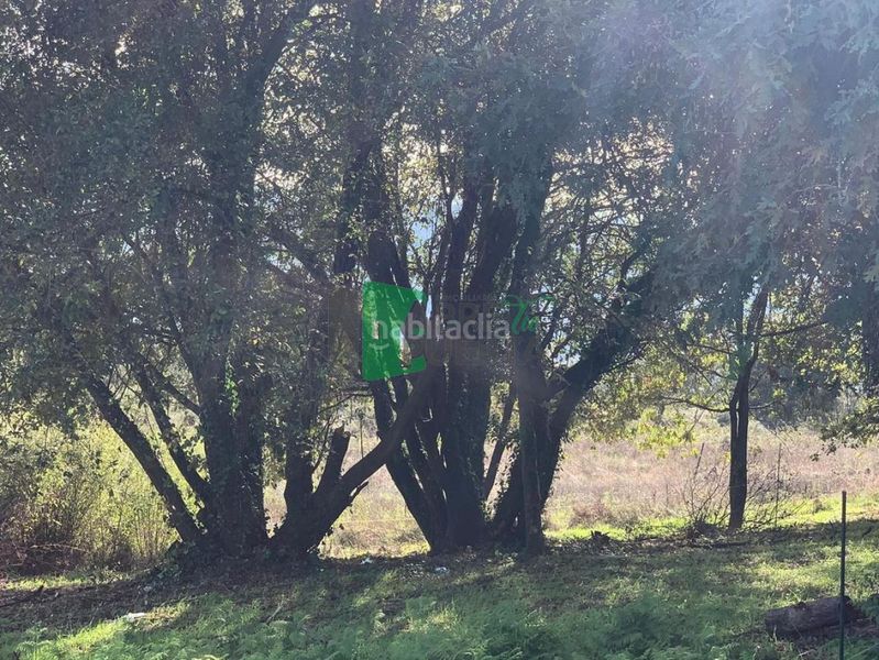 Foto fc64f211-f4b2-4fad-ae2f-44f697632a1f. Finca rústica a Ventiun Ourense