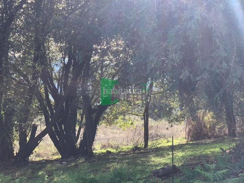 Foto 46210cfb-9fd2-4218-a435-f31151e61fc6. Finca rústica en Ventiun Ourense