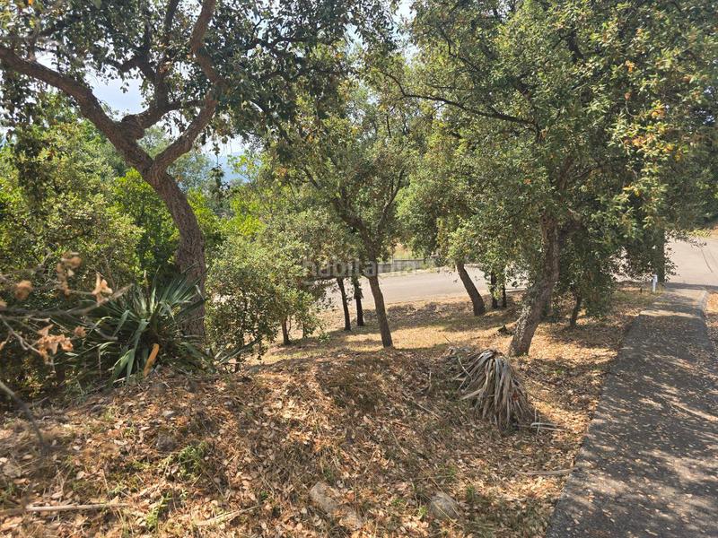 Foto 3680fe23-3215-4577-9a9b-71e3d5907966. Terrain résidentiel dans Porqueres