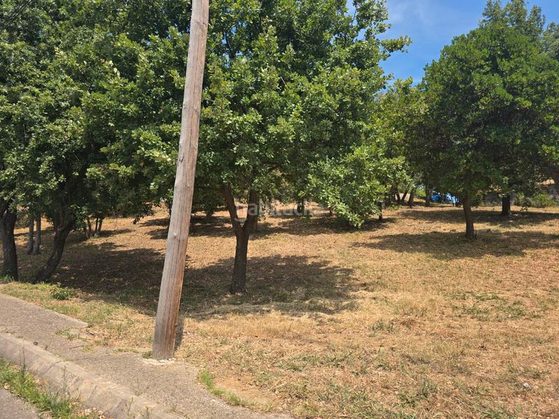 Foto 404f5f90-cdd4-4f97-bed7-66c7637f85b1. Terrain résidentiel dans Porqueres