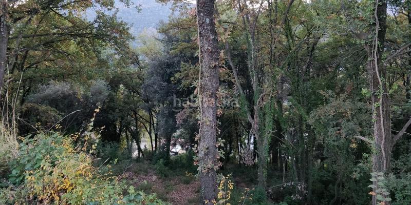 Foto 4d5b32aa-b542-41ac-aa56-36c07ee91111. Terrain résidentiel dans Porqueres