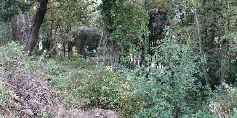 Foto 60770b37-85c2-4edf-9842-2e5ea2c69a92. Terrain résidentiel dans Porqueres