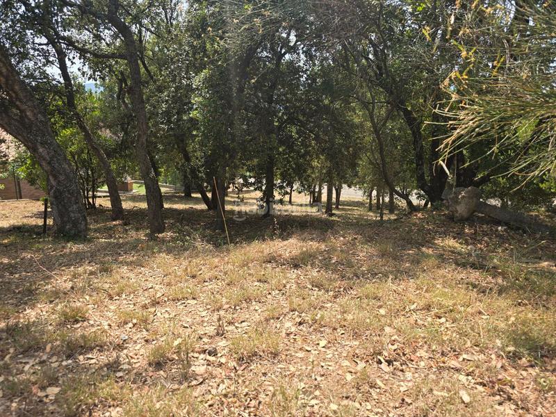 Foto 7cb04ba5-4cee-447d-96b0-89ad830db527. Terrain résidentiel dans Porqueres