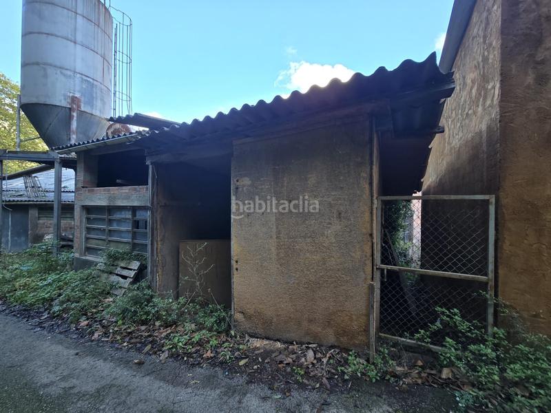 Foto e1663884-0d1e-4415-9d68-b511c1d378de. Mas dans Osor