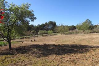 Terreny residencial a Torre de Claramunt (La)