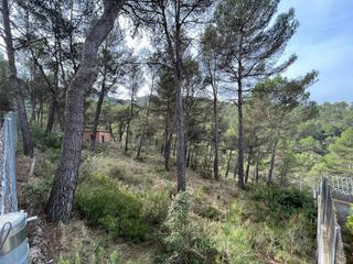 Residential Plot in Castellolí