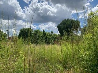 Terreny residencial a Poble Sec. Magnífic solar al passeig verdaguer