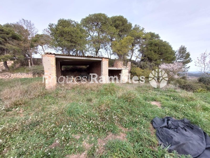 Foto 838fb6d6-ba14-4c4c-a35b-4c3e44d388c6. Casa amb aparcament a Argençola