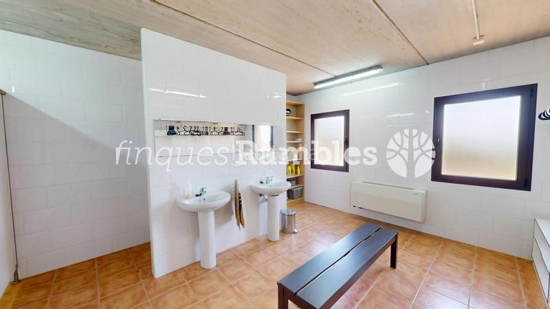 Foto 6becf27d-94a4-4c61-97f8-b4756eca04ad. Casa finca exclusiva en la garrotxa 46 hectáreas de naturaleza y tranquilidad en Mieres