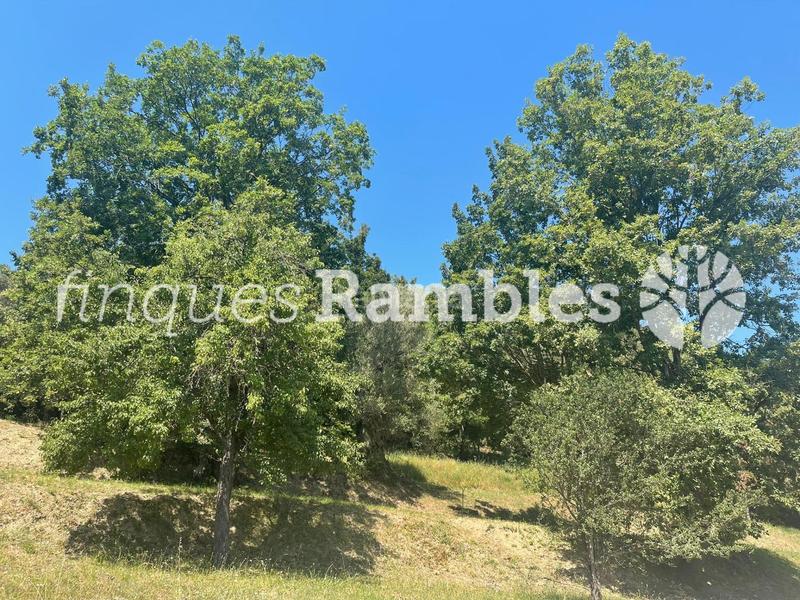 Foto a8010d8b-f602-469f-883f-e234b4f37ec4. Casa finca exclusiva en la garrotxa 46 hectáreas de naturaleza y tranquilidad en Mieres