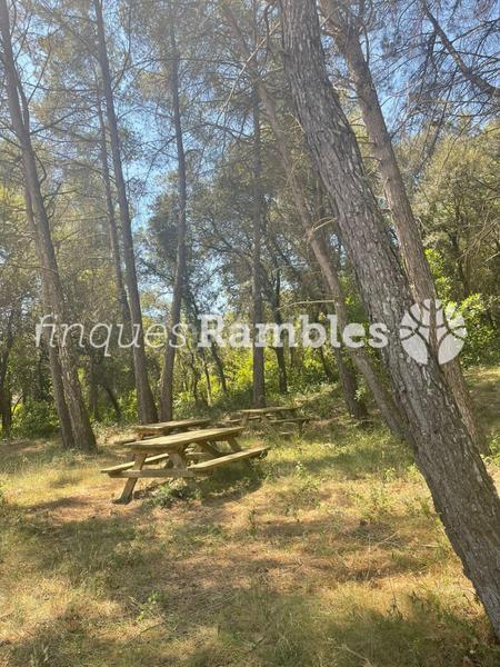 Foto a8ec7241-e8fd-48ab-b48d-97d433193b55. Casa finca exclusiva en la garrotxa 46 hectáreas de naturaleza y tranquilidad en Mieres