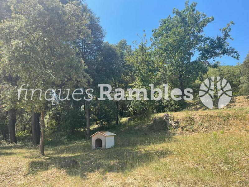 Foto d9d77e56-a3cb-4701-a59e-7862bc5276da. Casa finca exclusiva en la garrotxa 46 hectáreas de naturaleza y tranquilidad en Mieres