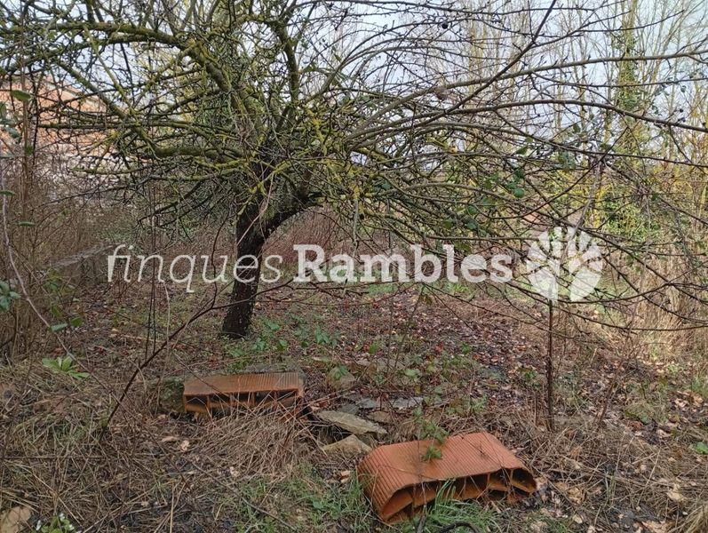 Foto b94e1af9-85b2-4f4f-af6b-c7501a07d0e4. Casa amb aparcament a Piles (Les)