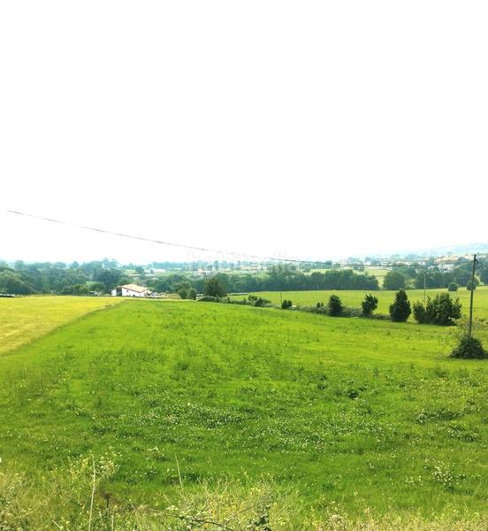 Foto b115d4ff-b16f-4335-b346-2a07453e9c63. Fondo rustico in Galizano Ribamontán al Mar